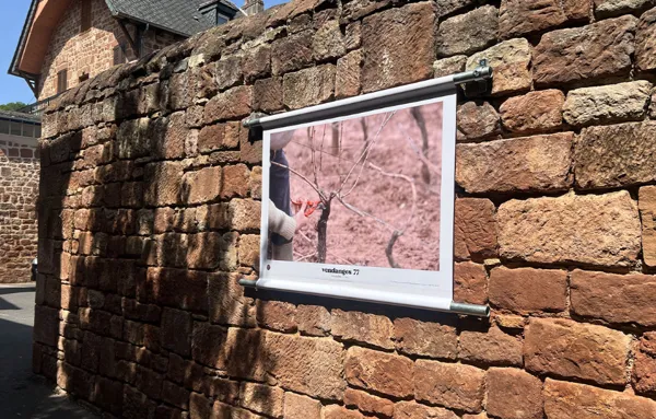 Exposition d'art : Emilie Sudres