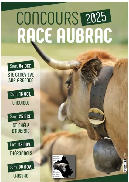 Concours de la race Aubrac
