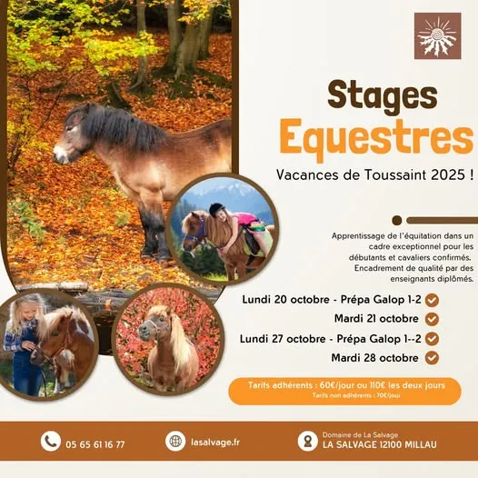 Stage d'équitation enfants et ados à la Salvage - vacances de la Toussaint