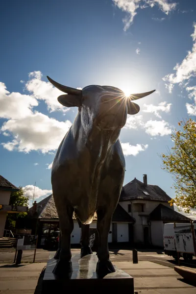 Visitez Laguiole, capitale de l'Aubrac et des couteaux