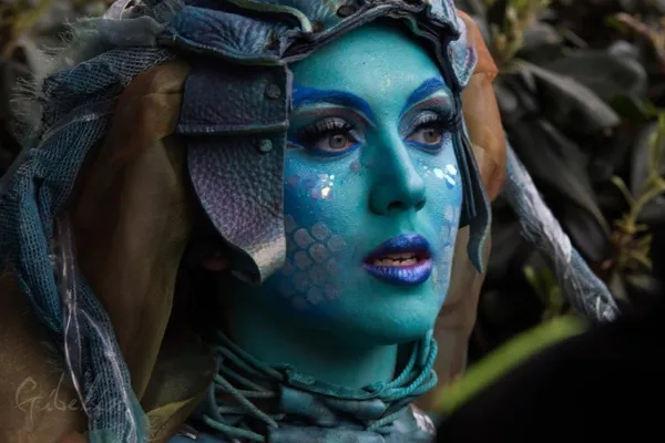 Festival Bonheurs d'Hiver - Top départ des illuminations / déambulation 