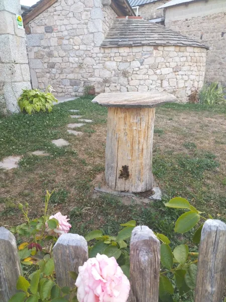 Le Miel du Pays de Conques (copie)