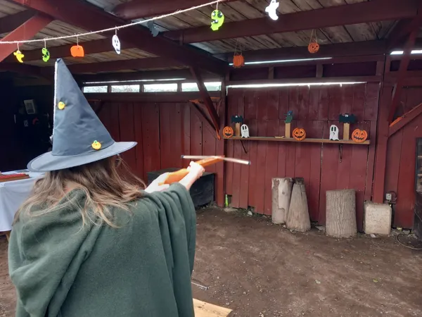 Sorcières et Citrouilles