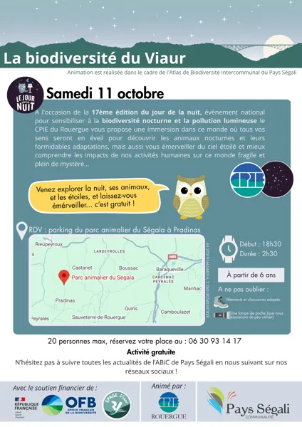 Immersion nocturne
