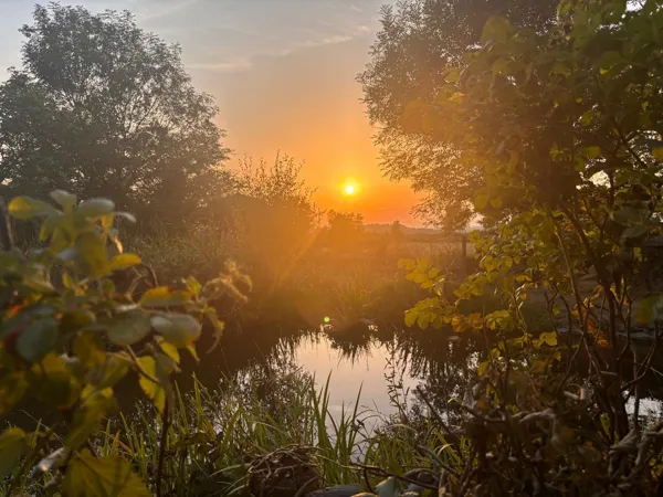 Un coucher de soleil apaisant au bord de l’étang de Saisonnée : un instant de calme absolu au cœur de la nature aveyronnaise., Maison d’hôtes Saisonnée