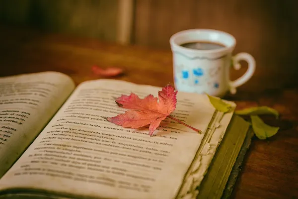 Dédicace et soupe aux livres