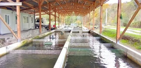 Pisciculture d'Estaing