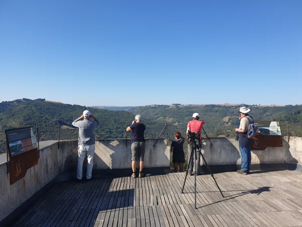 Animation nature : observation des rapaces en migration