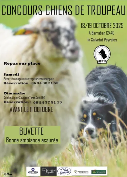 Concours de chiens de troupeau