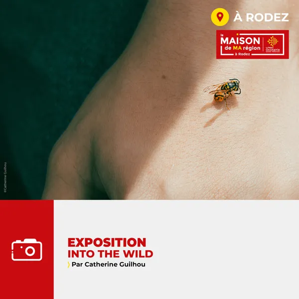 Exposition photos 