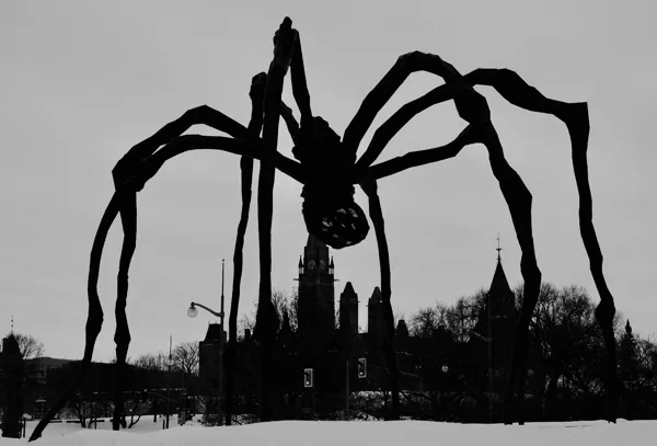 Atelier sculpture araignée