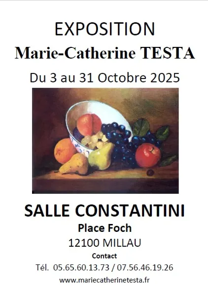 Exposition de Marie-Catherine Testa - Salle Costantini