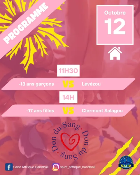 Matchs de Handball