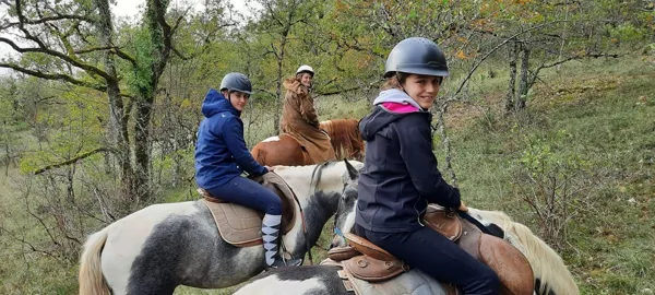 Ferme équestre Chez Maiwenn - Poney et Chevaux, Ferme equestre chez Valdine