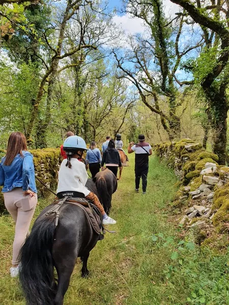 Ferme équestre Chez Maiwenn - Poney et Chevaux, Ferme equestre chez Valdine