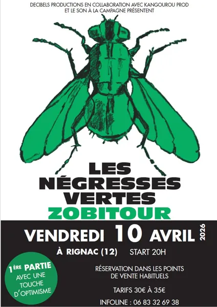 Les négresses vertes en concert