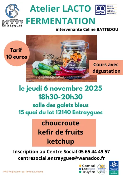 Atelier Lacto Fermentation