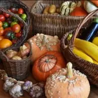 Stage Potager permacole
