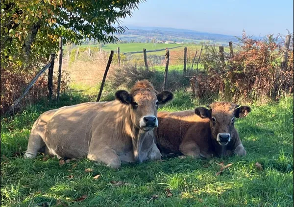 , GAEC des Coustoubis