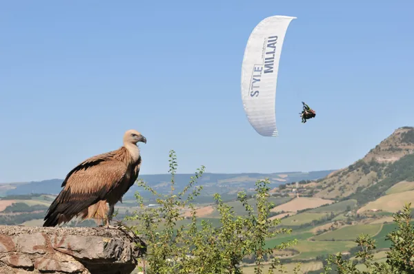 Airzone Parapente
