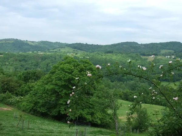 calme et verte vallée