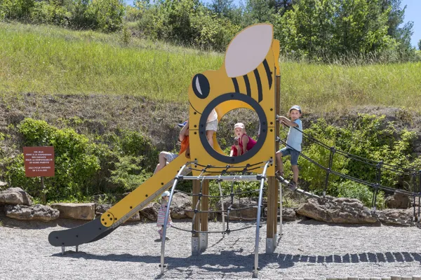 Restaurant Micropolis la Cité des insectes, MICROPOLIS LA CITÉ DES INSECTES