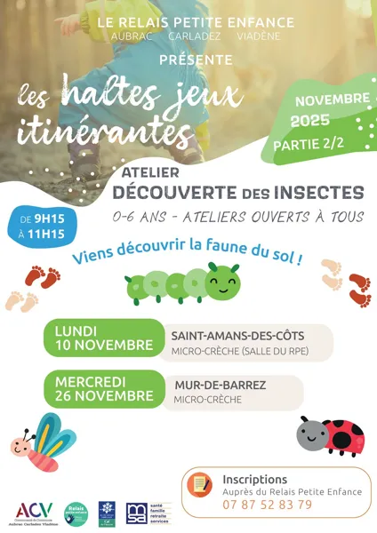 Les haltes jeux itinérantes : découverte des insectes