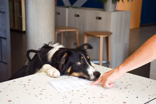 Ibis Budget Millau Viaduc