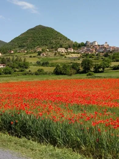 un beau jour de printemps, Nicole Mazeran