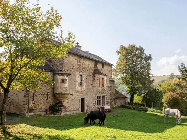 Les chemins de Saint Sauveur
