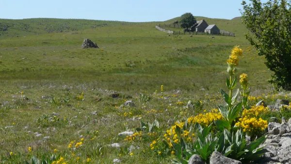 Paysage d'Aubrac, Gonzalo Diaz