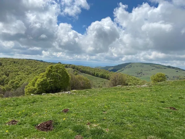 Buron d'Alteteste, Office de Tourisme des Causses à l'Aubrac
