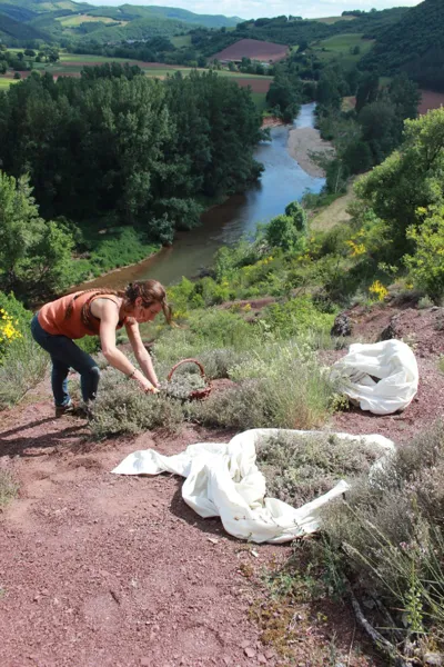 Elo'Distille, Fred Garrigues