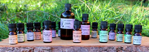 Elo'Distille, Elo'Distille