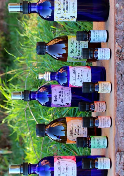 Elo'Distille, Elo'Distille