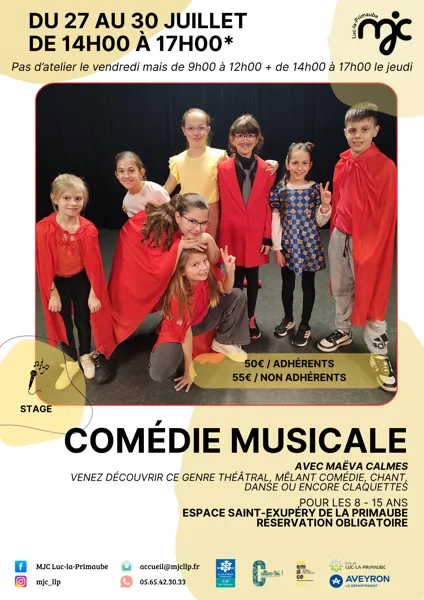 STAGE : Comédie musicale