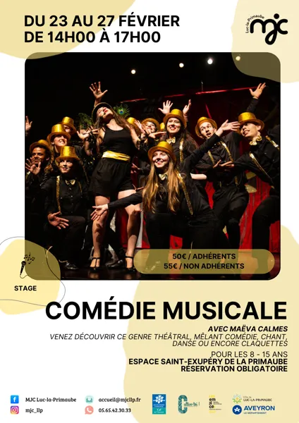 STAGE : Comédie musicale