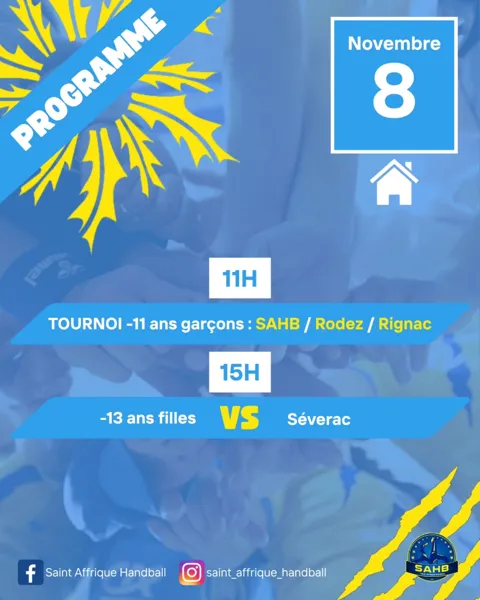 Handball : Programme du Week-end