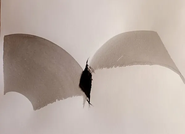 Calligraphie, Isabelle Bos