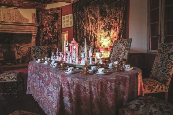 Salle d'apparat - CHATEAU DU BOSC TOULOUSE-LAUTREC