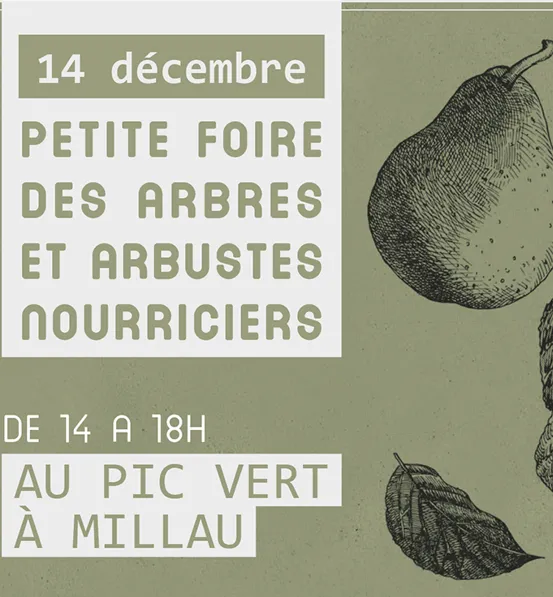 Petite foire des arbres et arbustes nourriciers - le Pic Vert