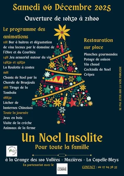 journée d'animations : Un Noël insolite pour toute la famille