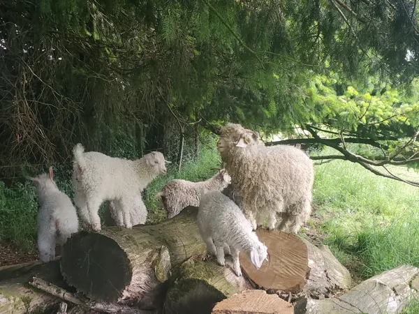 , La Ferme du Puech Février