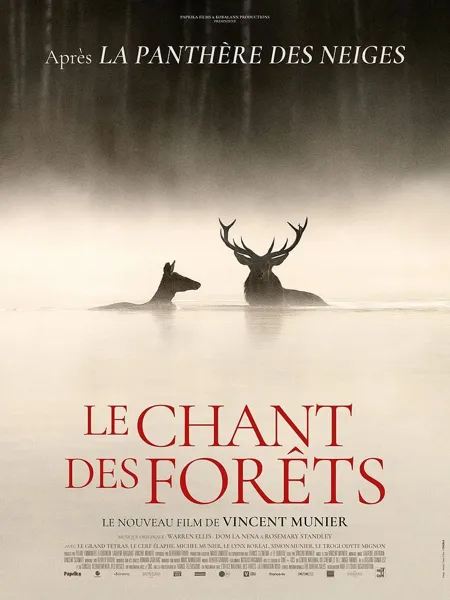 Cinéma - Le chant des forêts