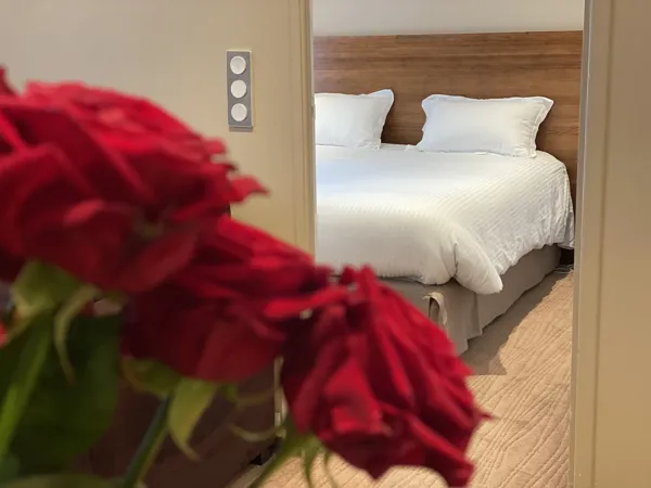 Appart Hôtel Spa LE 1837, Le 1837