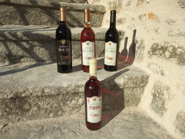 Nos différents vins, 