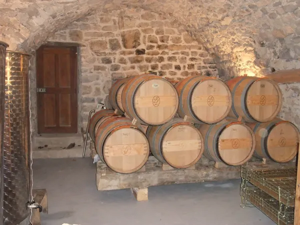 Notre cave, 