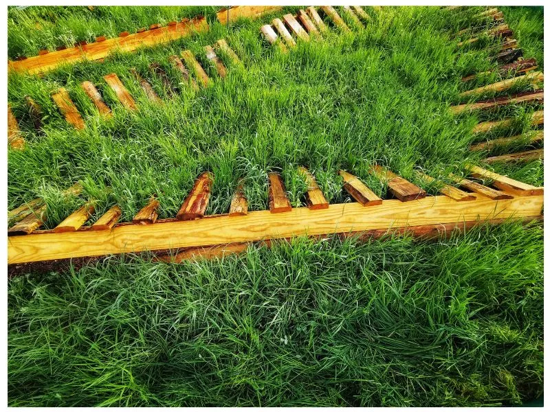 Structures pour escargots, les escargots de l'Alzou