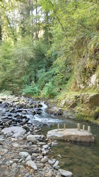Au bord de la Boralde en bas du village de Bonauberg, 
