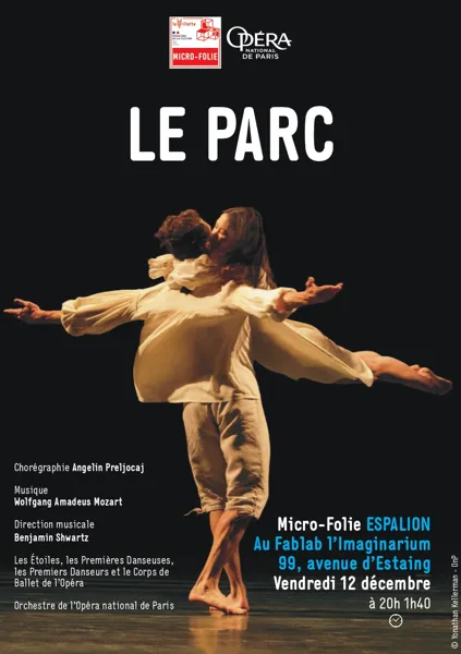 Projection du Ballet 